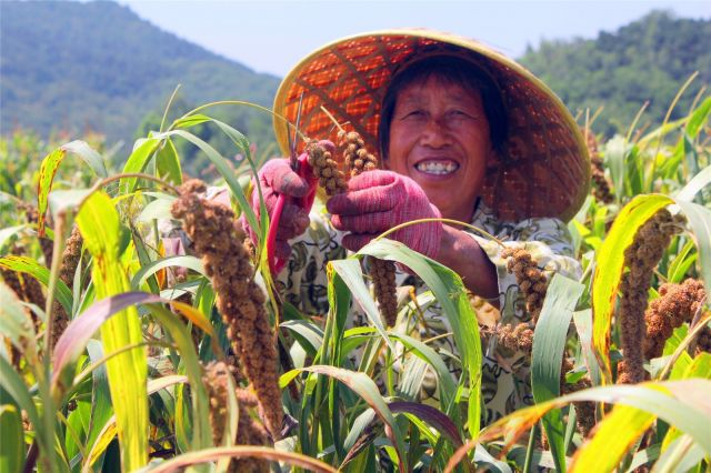 这场发布会，解码山东十年之变