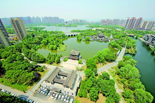 高质量发展新嬗变丨生态优先，齐鲁大地绿起来美起来