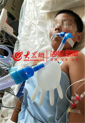 误食毒蘑菇，淄博一家三口至今未脱离危险！12岁男孩仍在昏迷中