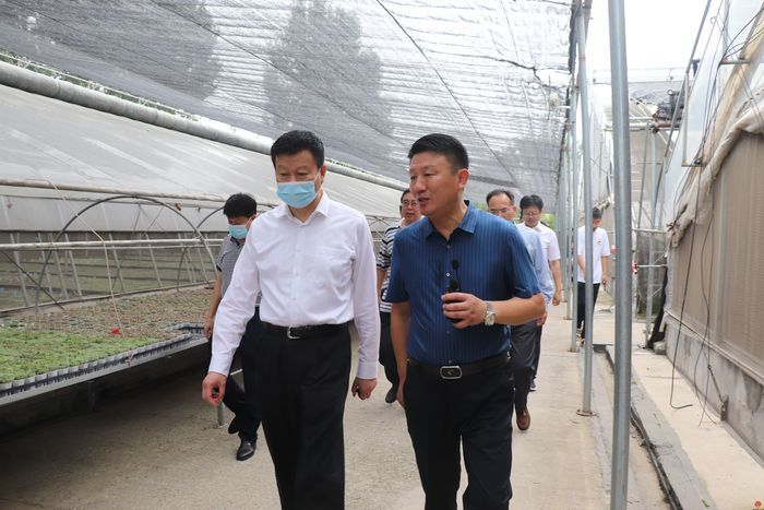 泉城“商量”聚焦乡村全面振兴：让技术人才和农业专家有施展抱负的舞台