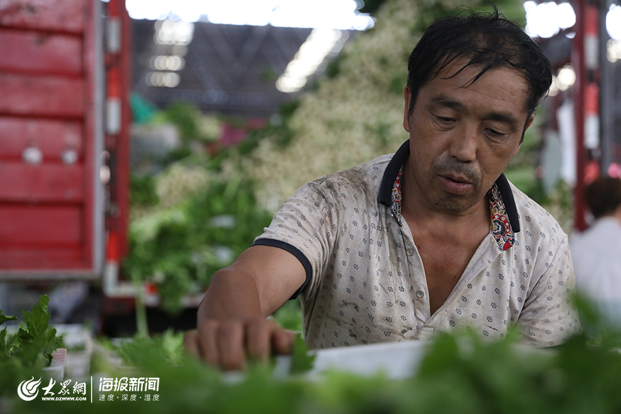 台风后探访寿光蔬菜物流园：供货充足！尖椒、西红柿、芹菜批发价降了（组图）