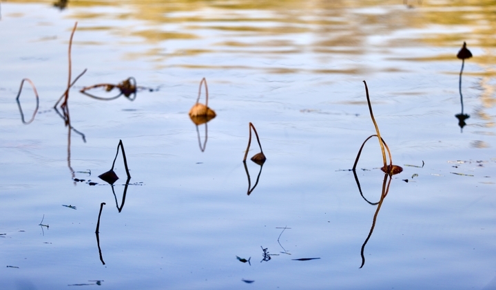 冬日百花洲水天一色