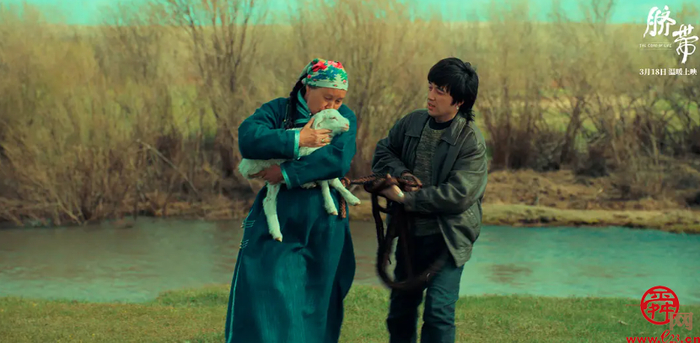 曹郁姚晨监制电影《脐带》开启路演 获赞“年度必看亲情佳作”