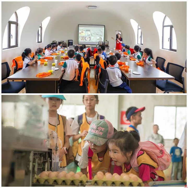 观古城 游相公 寻宝藏 享亲情 明水古城五公里旅游攻略