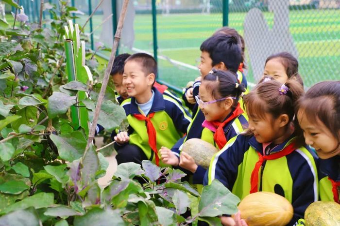 育晖小学：看见学生共生共长