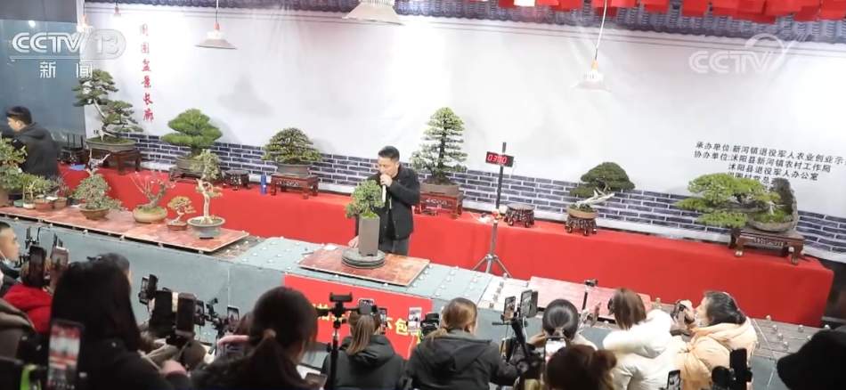 冬闲不闲 一场“乡村直播拍卖会”让人大开眼界