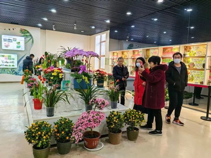 春节假期，济南这九大公园景区人气爆棚共接待游客42.5万人次