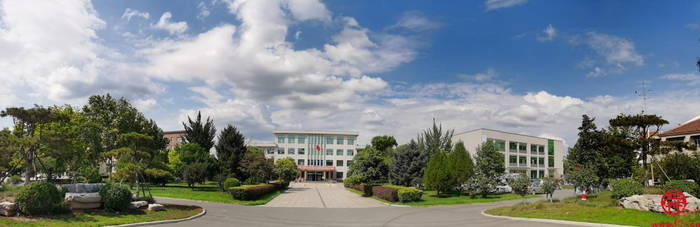 加快发展 实干争先 普集街道：紧抓重大战略机遇 奋力开创高质量发展新局面