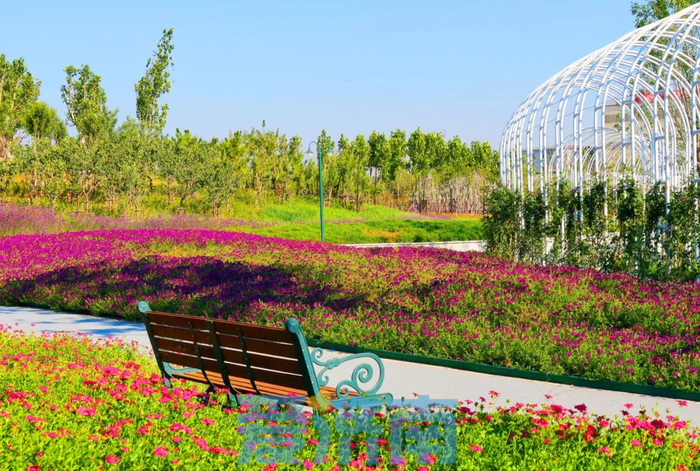 省级名单公示！济钢片区中央森林公园入选城市更新示范项目