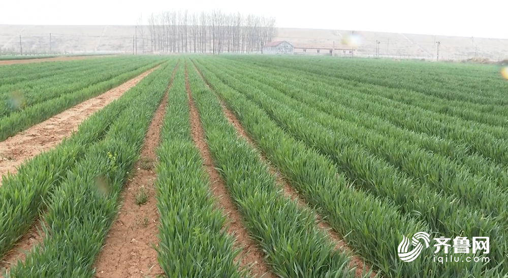 山东强对流天气基本结束 100个县市区出现降水