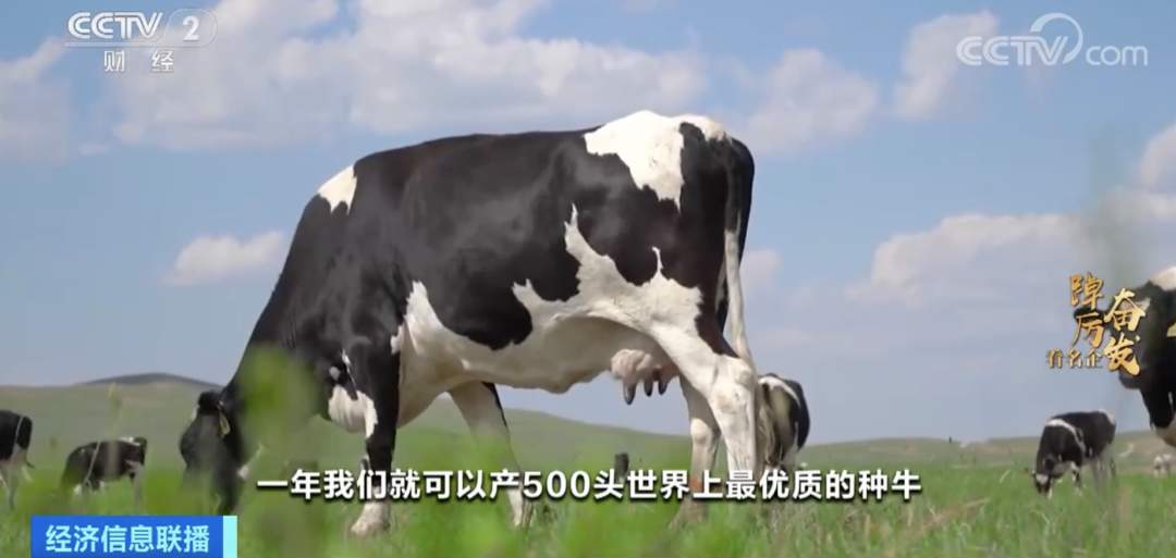 踔厉奋发看名企丨伊利每日下线1亿多份产品!国产奶粉占据近七成线下市场!