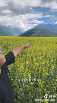 这背景假吗？因为一句话，小伙把这里推广到了全国