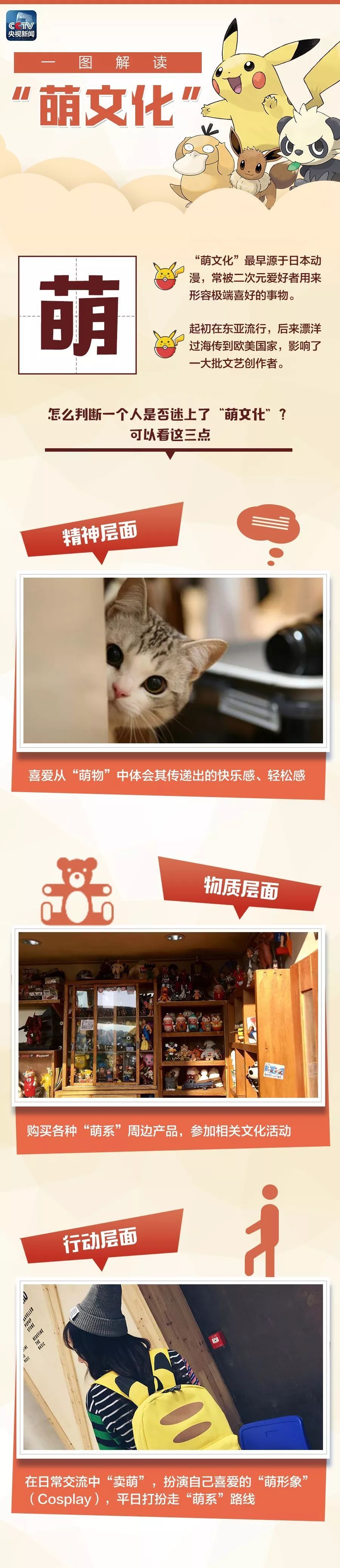 Ƥ6000ڵı󣺡Ļ˽