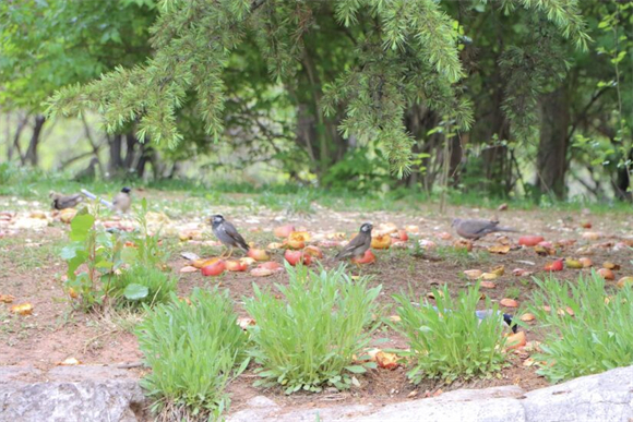 红石公园：在这里欣赏侏罗纪红石