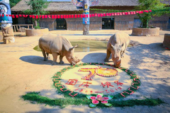 【晒晒美好山东】济南野生动物世界 喜迎国庆氛围浓 满园尽飘中国红