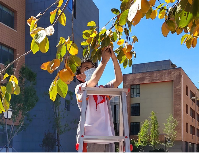 慧心育“景”，“新”欣向荣！云端探校走进济南市槐荫区景新实验小学