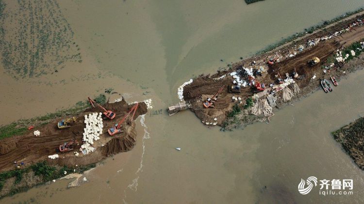 多台重型机械合力作业！航拍寿光弥河堤坝修复实况