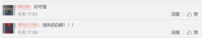 专家称长江白鲟灭绝？IUCN中国代表处：未官宣，6月发结果