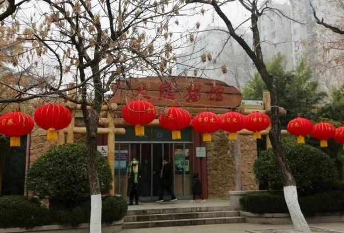 兔年“气氛组”上线！千佛山等9家公园景区万盏红灯笼喜庆迎新春