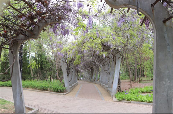 红石公园：在这里欣赏侏罗纪红石