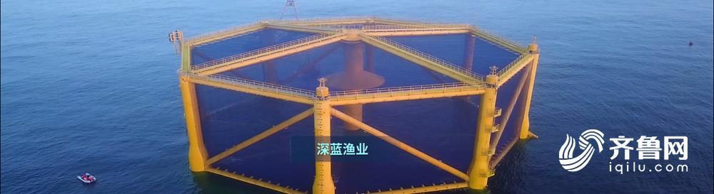 科技赋能产业，创新引领未来！十分钟认识新山东