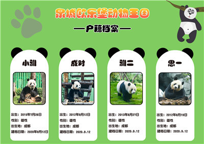 4只大熊猫到这个地方安家落户！9月16日与游客见面