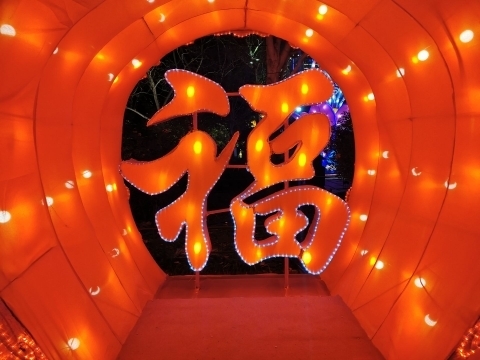 科技、文化、互动……第41届趵突泉迎春花灯会惊喜不断