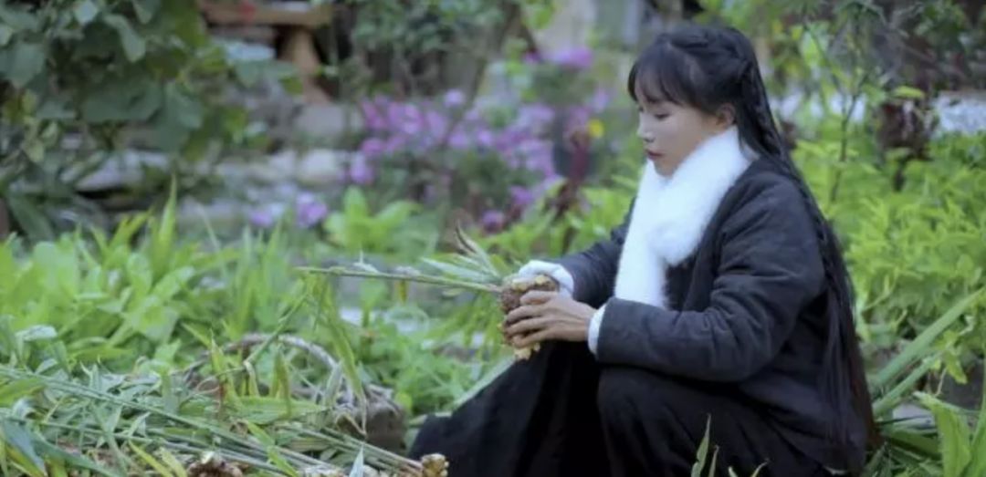 李子柒有啥问题？马云有钱就能“瞎指挥”？看看白岩松怎么说