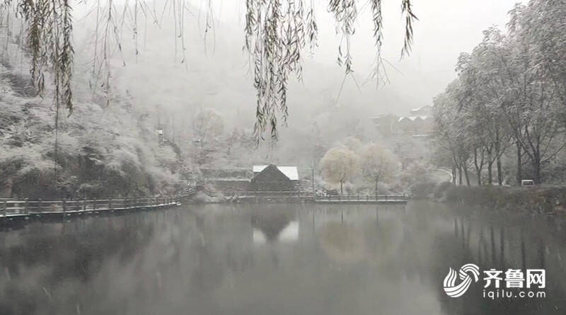 组图｜官宣！山东迎来今冬第一场雪