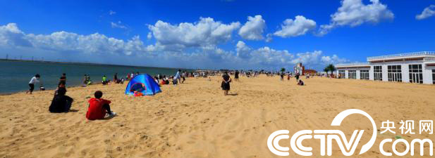 【瓣瓣同心·协同五年谱新篇】沧州打造良好生态 焕彩“千年狮城”