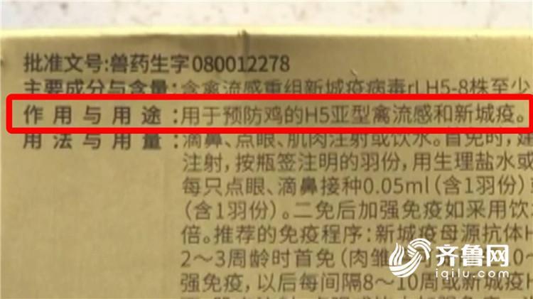 问政山东丨兽医站里开兽药店 鸡用疫苗竟然卖给养鸭户