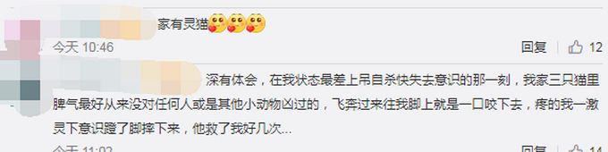喵星人飞扑救下小主人！网友以为宝宝被咬，结果下一秒感动不已