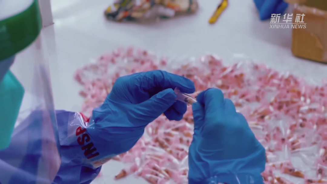 这些外来入侵物种需警惕!