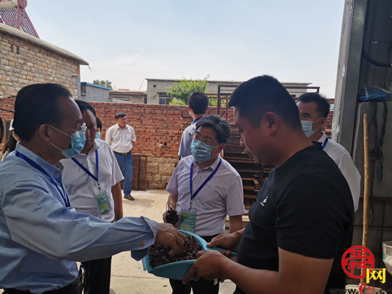 泉城“商量”问计如何做好“小玫瑰”里的“大文章”