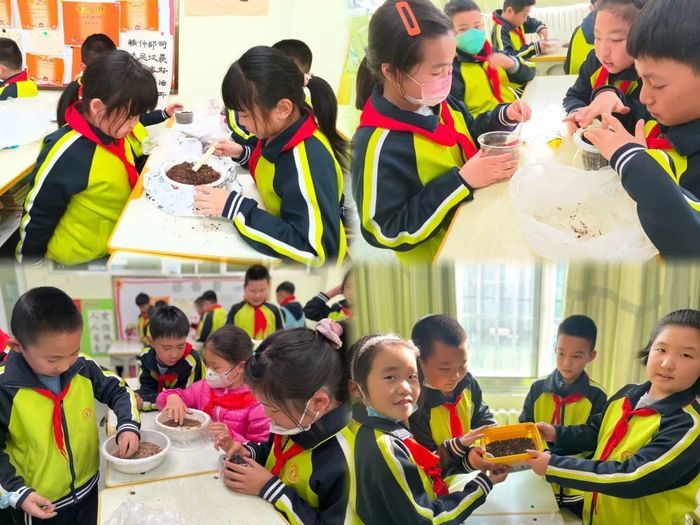 精彩纷呈！看育晖小学如何开展“基于真实体验的劳动课程”