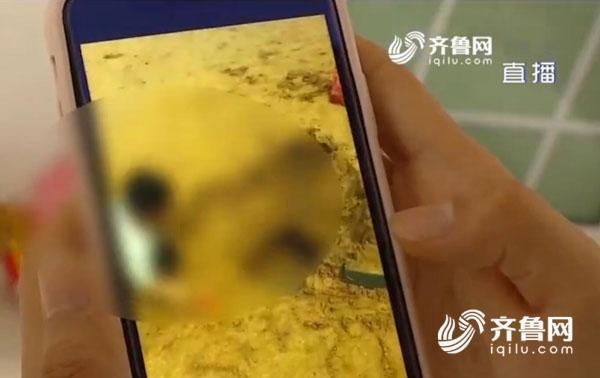 青岛四岁男童意外去世 捐献器官给5个家庭带去希望