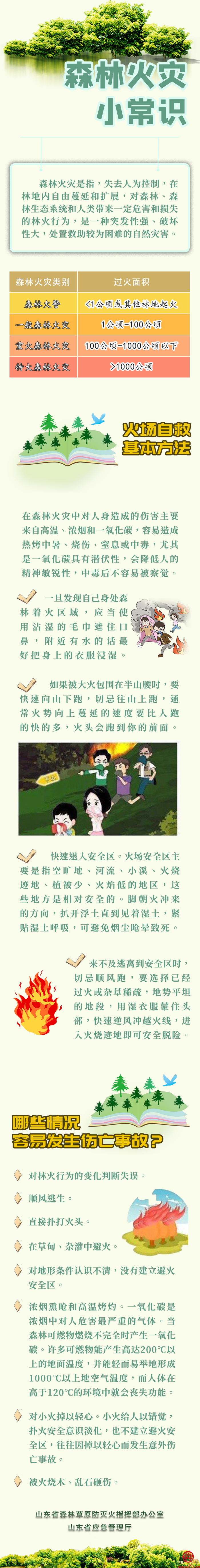 防火正当时！森林火灾警示案例引以为戒