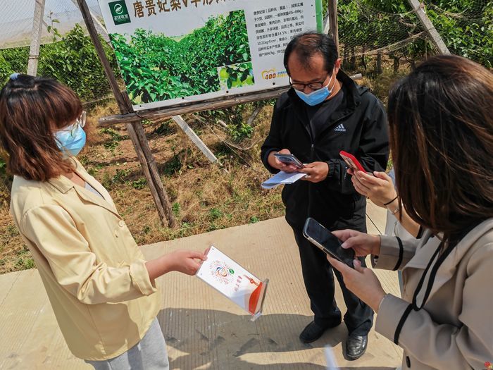 打造北方种业之都正逢其时 “商量”调研济南优势和底气