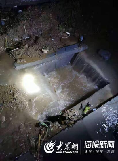 台风过境蔬菜之乡，记者寿光实地探访