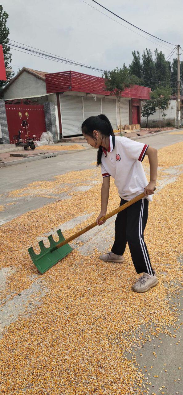 章丘区宁家埠学区张码小学:厉行节约 珍爱粮食 向浪费说“不”