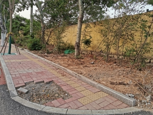 【啄木鸟在行动】市中区二环东路搬倒井路段绿化带内渣土堆积