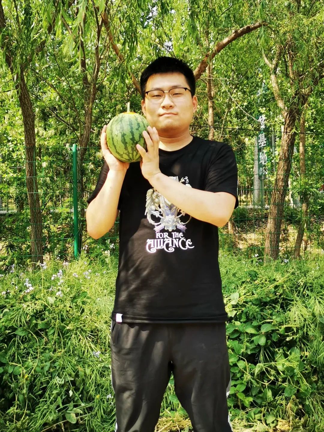 西瓜穿网兜、住空中～济南大姐黄河边建500亩“吃瓜”小镇