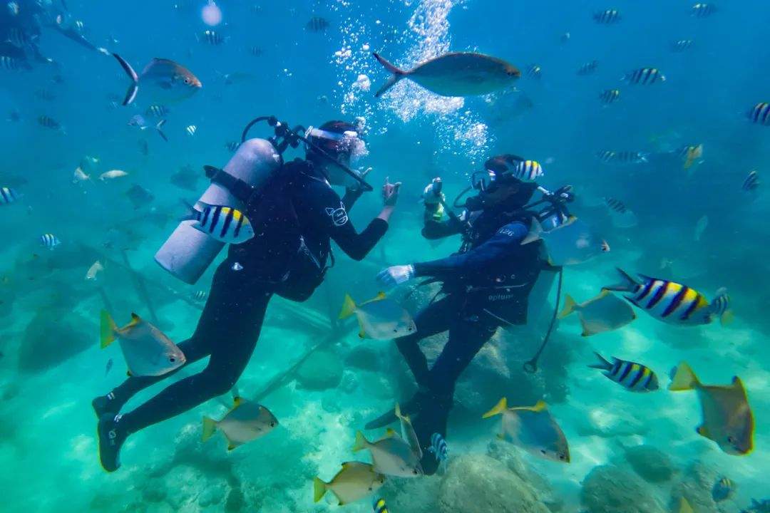 三亚明确游客下水前可无理由退订潜水产品