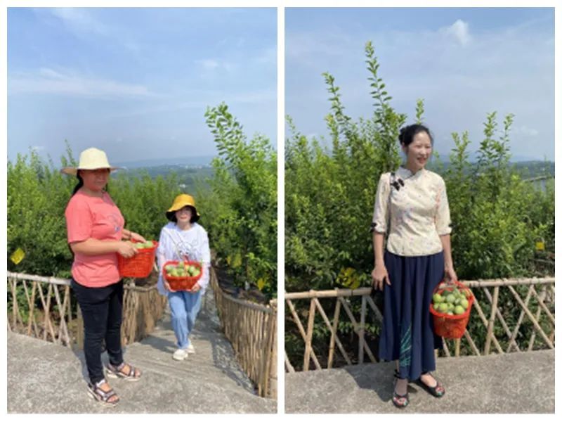 走向我们的小康生活 