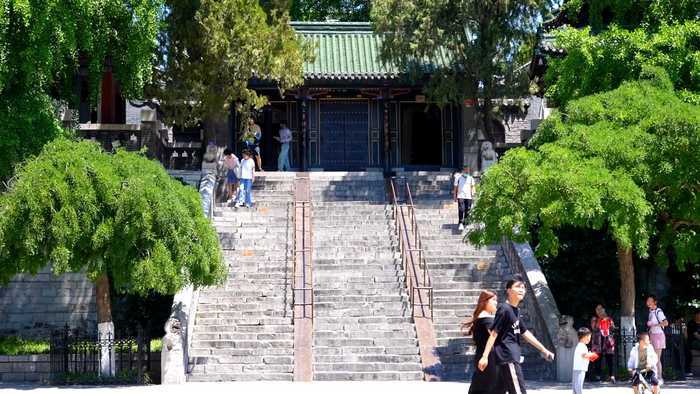 诗画济南丨四面荷花三面柳 半城湖色美如画