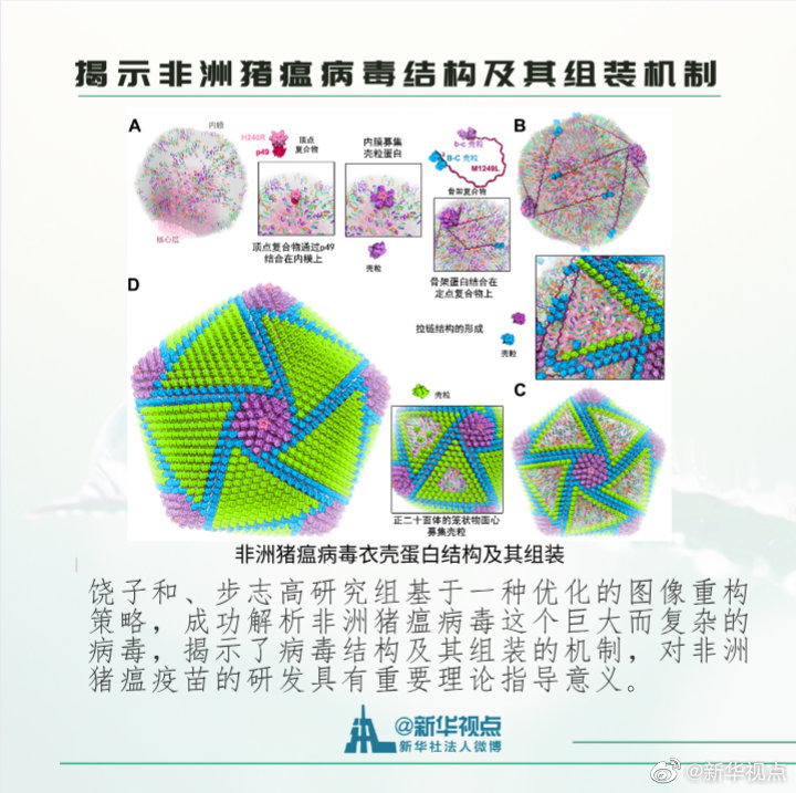 2019年度中国科学十大进展揭晓