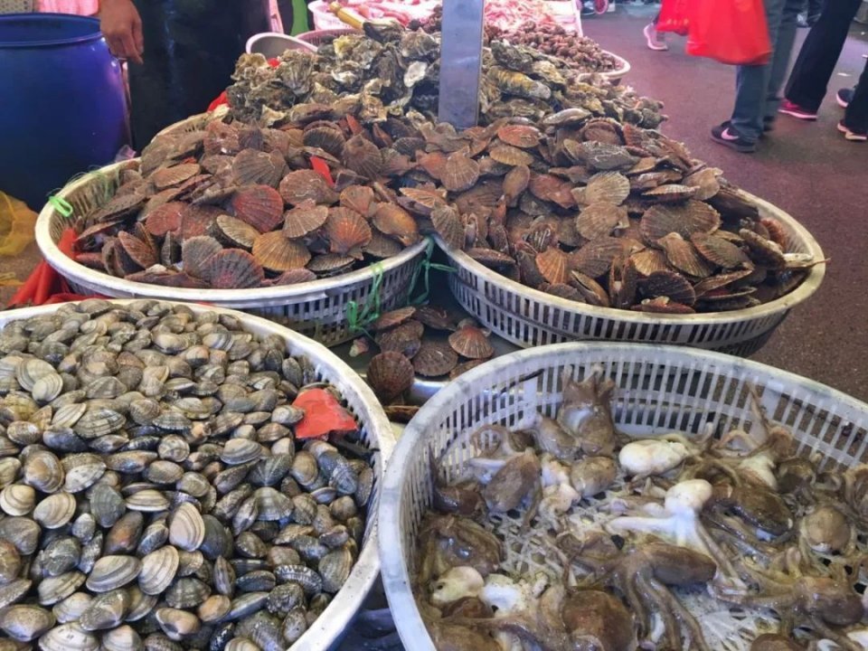 3天后封海！没海鲜不吃饭的青岛人咋办？凉拌！