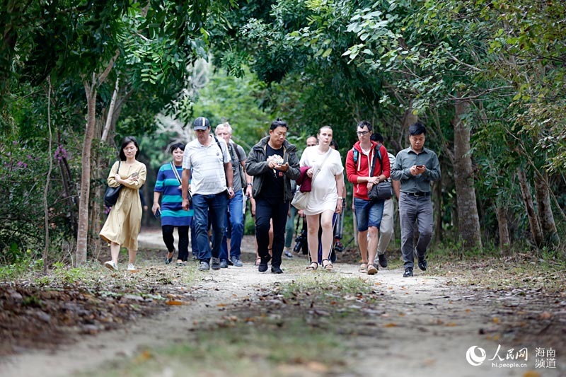 纯美湿地柔情棋子湾 俄媒记者畅享昌江独特魅力