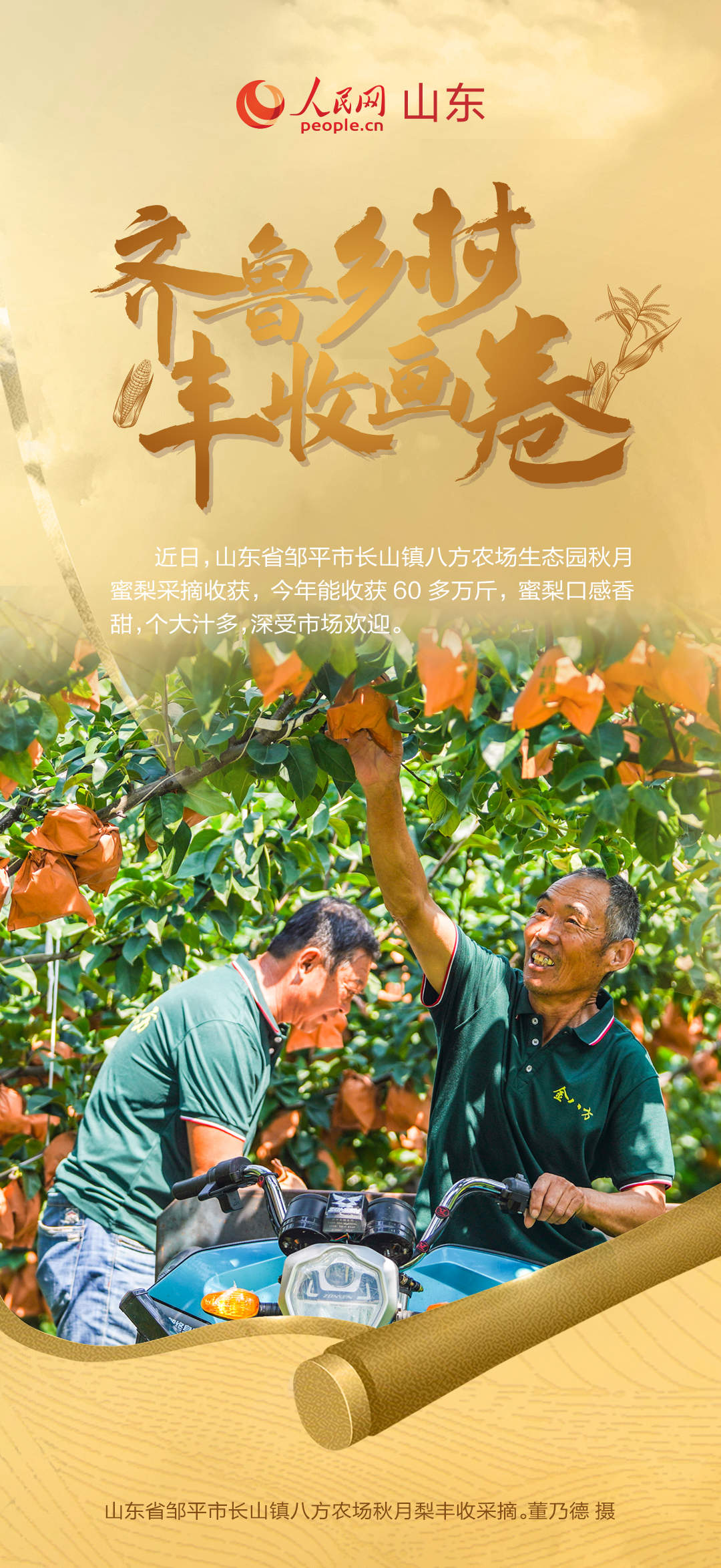 乡村振兴美如画 齐鲁大地好“丰”景