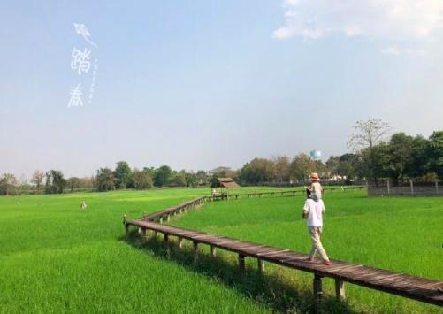 汪涵一家三口全家福曝光，4岁小沐沐身高亮了